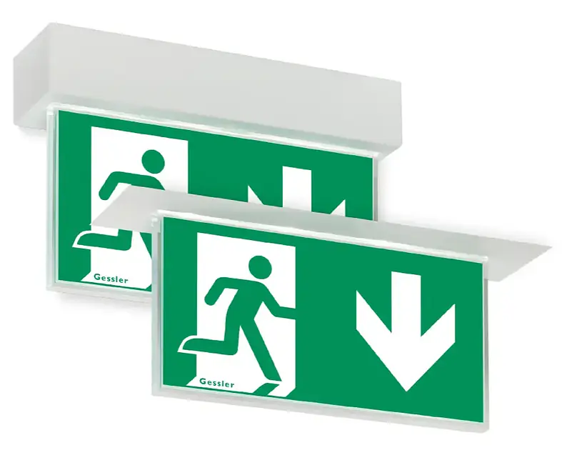 DR4 Vorschau (1).webp