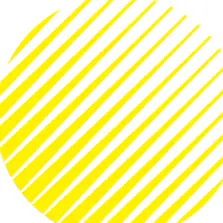 Schweizer Licht Gesellschaft SLG