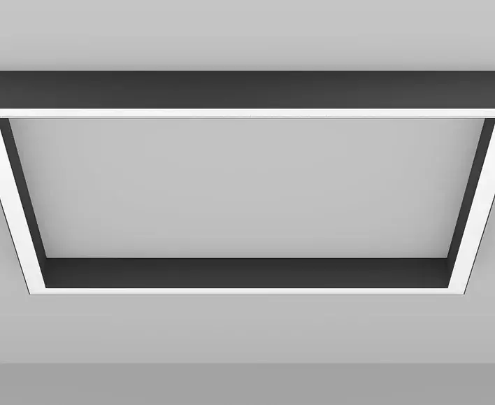 Line50quad.webp